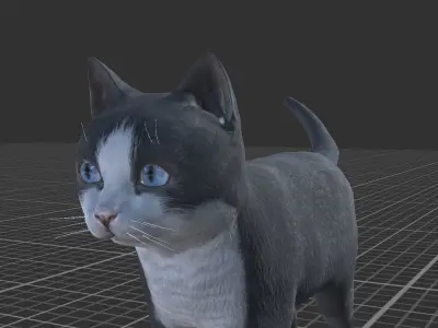 Kitten full Low-poly 3D model