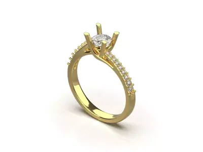 ring code 219 3D print model
