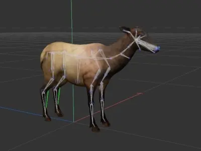 Rigged Elk Doe Low-poly 3D model
