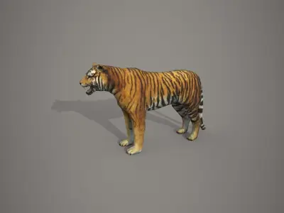 Bengali Tiger Low-poly 3D model