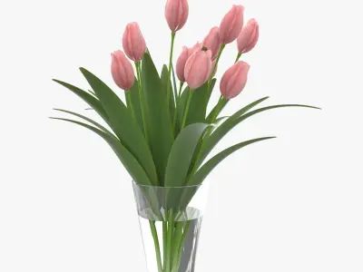 Flower Tulip in Vase 3D model