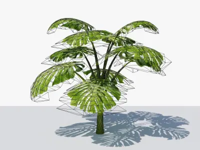 Monstera Tropical Plant Low-poly 3D model