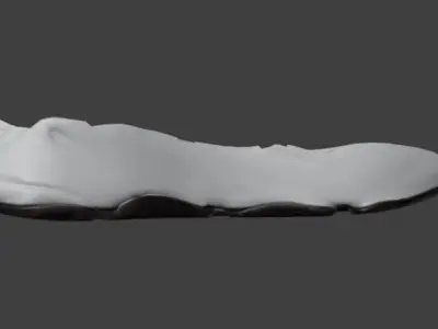 3d CUSTOM NIKE SHOE MODEL 3D print model