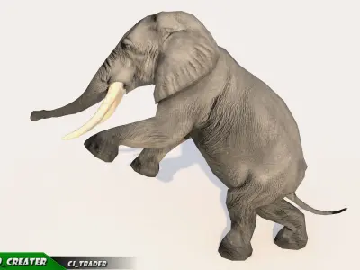 Elephant Animated Lowpoly Low-poly 3D model