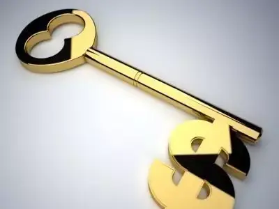 Dollar Sign Key  3D model