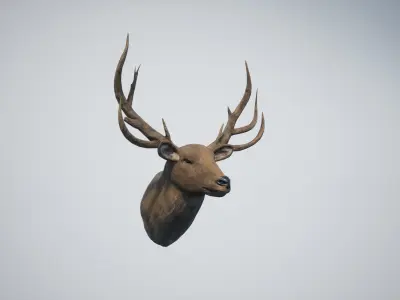 Deer Head Trophy Low-poly 3D model
