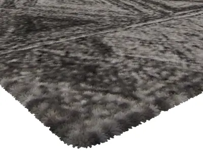 Rug Set 2198 3D model