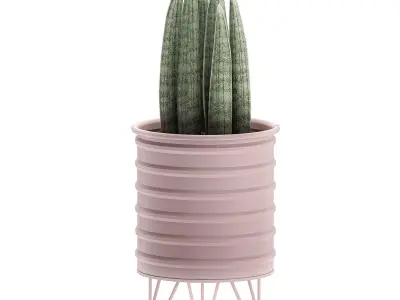  Decorative plants in pots on a stand for the interior 529 3D model