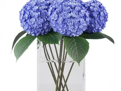 hydrangea 01 3D model