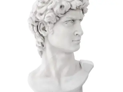Bust of David Sculpture 3D model