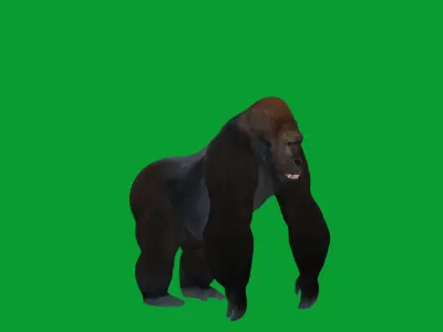 Western Lowland Gorilla Low-poly 3D model