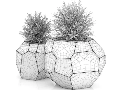 Two Plants in Modern Wooden Pots 3D model