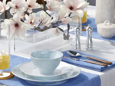 Tableware dining table with linens 3D model
