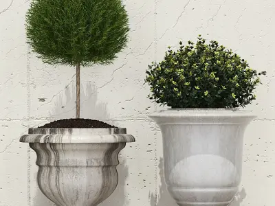 Plant four potted plants on shelf 3D model