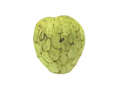 Photorealistic Cherimoya 3D Scan 6 3D model
