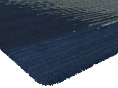 Rug Set 305 3D model