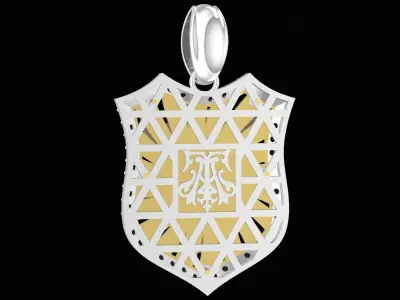 Luxury Shield Feng Shui Pendant 3D Jewelry Model  3479 3D print model
