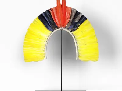 Kayapo Small Feather Headdress 3D model