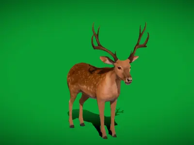 Fallow Deer Low-poly 3D model