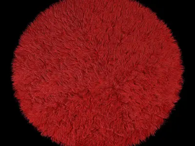 Round carpet 3D model
