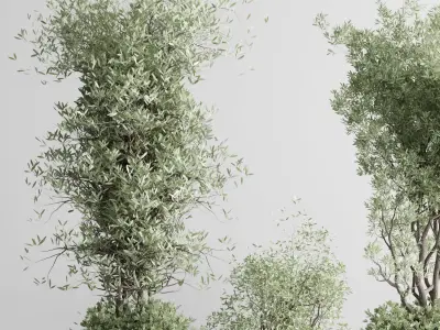 Indoor plant set 332 plant tree vase dirty concrete Low-poly 3D model