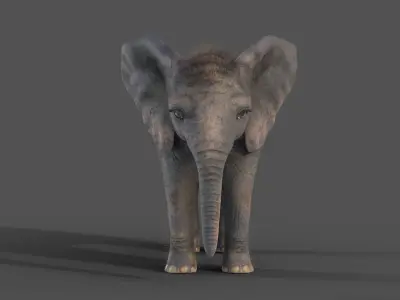 Fur Baby Elephant NO Rigged in Blender Low-poly 3D model