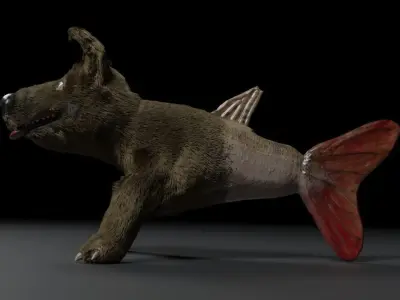 Dogfish dog 3D model