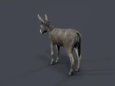 donkey Low-poly 3D model