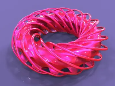 Torus Twist Free 3D model
