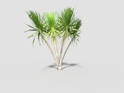 low poly tropical tree Low-poly 3D model