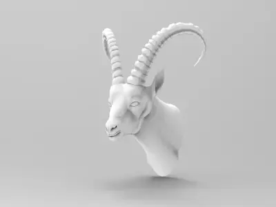Goat Head 3D model purchase