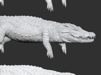 Nile Crocodile 3D Model LowPoly SubD HighPoly Decimated Low-poly 3D model