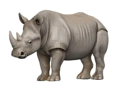 Rhino Low-poly 3D model shop