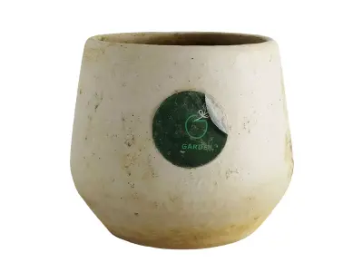 Flower Pot Decor - Photogrammetry 3D model