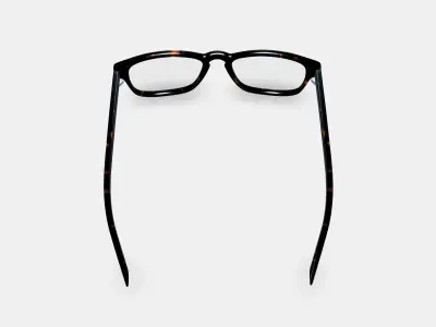 Bensen Eyeglasses in Whiskey Tortoise 3D model