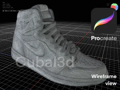 Air Jordan Nike 3D Procreate 3D model