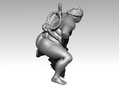 Sumo wrestling 3D print model