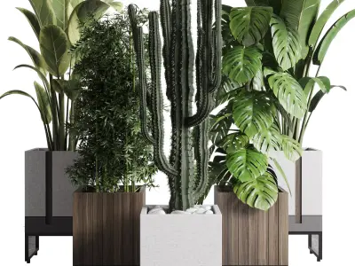 Indoor outdoor plant set 334 dirty wooden and concrete box Low-poly 3D model