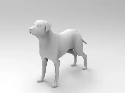 dog 4 3D model