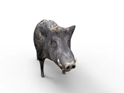 3D Wild Boar Rigged and Animated  Low-poly 3D model
