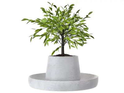 Accessories set 12 3D model