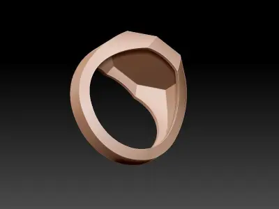 Octagonal ring 3D print model