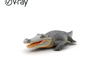 Crocodile Resting Realistic Model Pack Low-poly 3D model