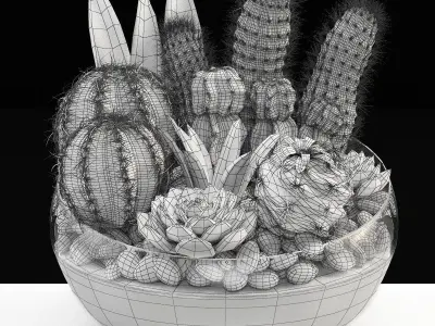 bowl of Cactus collection 3D model