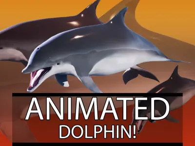 Realistic Animated Dolphin Low-poly 3D model