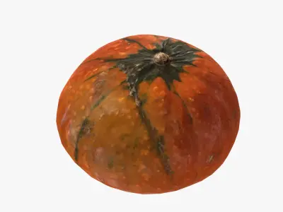 Decorative pumpkin mesdium-size Low-poly 3D model