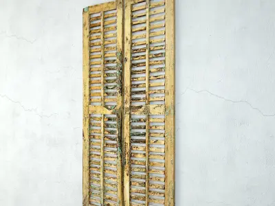 Antique Pair of Kira Shutter Doors 3D model