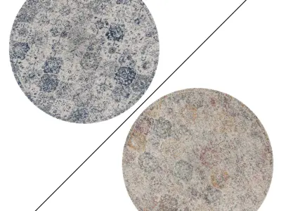 Round Rug Set 145 3D model