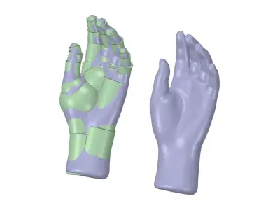 Reverse Engineered Hand model using simple features Free 3D model
