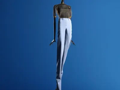 Zara Plumeti Embroided Top Manneqin 3D model